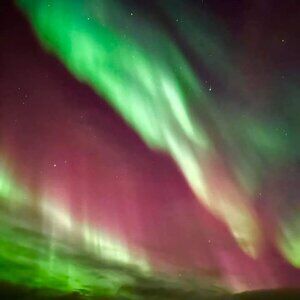 Meet your Posher, Ashton